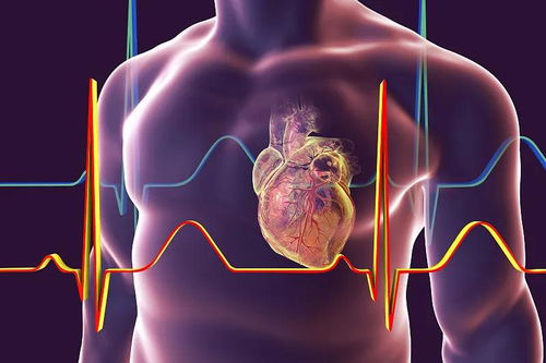 心脏跳动速度加快 要小心心脏神经官能症