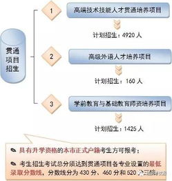 24个中招志愿怎么报 别犯难 最全指南 权威指导打包送你 热点 