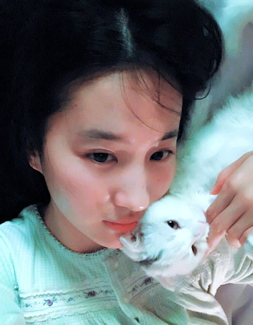 刘亦菲晒生活美照,素颜出镜气质脱俗,单身的女人都喜欢养猫