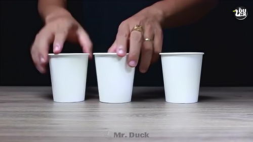 科学实验 你能看出来纸杯里的水被转移到哪里去了吗 