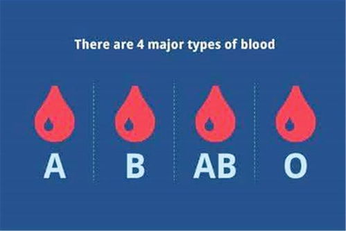 血型会影响娃的智商,四种普遍血型的排名 这种血型第一名