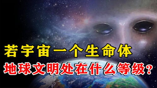 宇宙是一个巨大的生命体 地球文明在宇宙