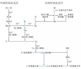 凝血酶原活动度此pTA计算公式中对照pT指什么?值怎么取?请教有关老师！