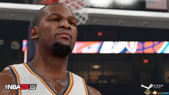 2k15配置(NBA2K15视频设置选项对画面和流畅度影响)