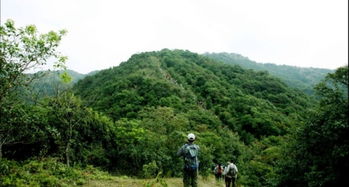 惠东惠州九龙峰攻略,惠州九龙峰门票 地址,惠州九龙峰游览攻略 