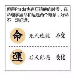 宋师傅风水 八字第一课,怎么看八字 五行是什么