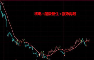 600xxx.000xxx从股票代码能否看出是沪市还是深市的股票？