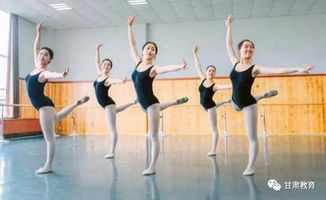 高考舞蹈生有什么舞种