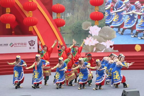 最美广场舞,舞出最美风采 2020年第八届CCTV贺岁杯中国广场舞公开赛落下帷幕