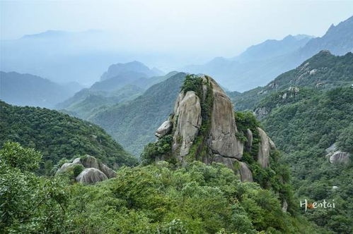 九华山在哪座城市 外地游客答不上来,为何不学学黄山