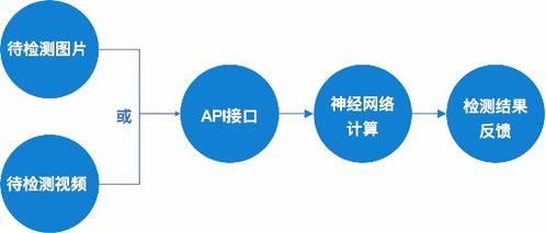 如何检测 deepfake 伪造内容？