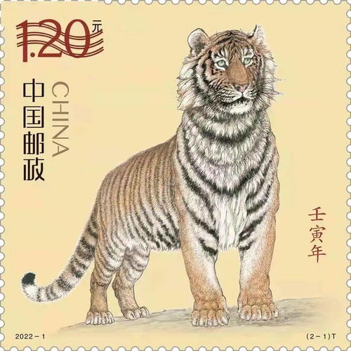 虎年生肖邮票图稿公布 4套 虎票 你最喜欢哪一套