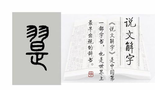 说文解字 第686课, 细说 翰 字, 翰林的 翰 是什么意思