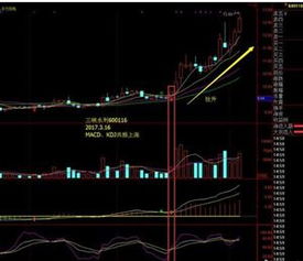 macd kdj金叉共振 选股公式 同花顺 谢谢~