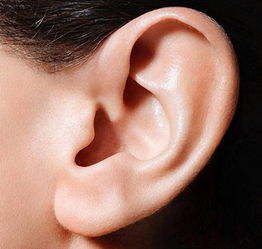 一个男人摸你耳朵的意思 男生摸异性耳朵的心理暗示