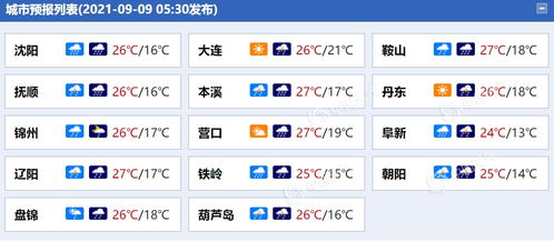 伊宁市免费停车场有哪些(宁强县免费停车场名单查询)