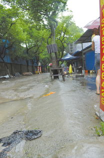 暴雨中 庄桥街道上邵村准备好的沙袋用不上了