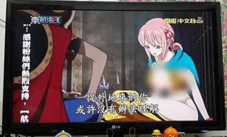 海贼王涉误导儿童 台湾电视台被有关部门强令打码播出 视频