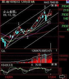 期货大豆近日走势。要观望，还是买入？