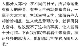 这六个日子出生的属猪人惹不起,运势上上签,越来越多钱 