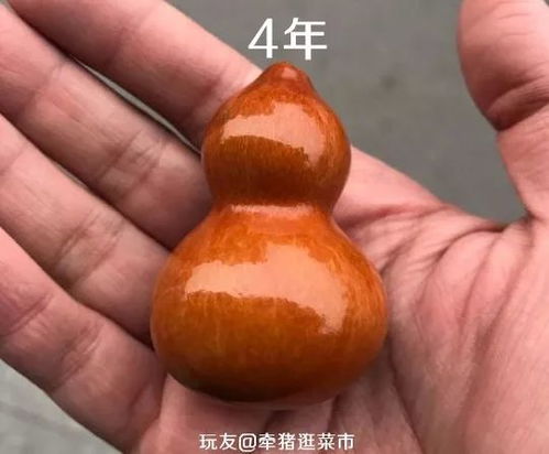 几块钱一个的小葫芦,这么玩身价翻番