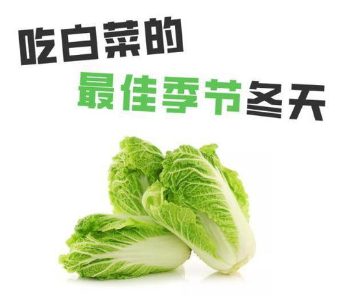 大白菜最全 食用指南 ,让你的每一口都充满营养