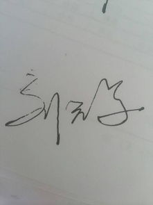 谁会 刘元军 三个字连体签名的写法,有图片最好 