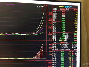 飞狐软件怎样沒有300094国联水产的股票