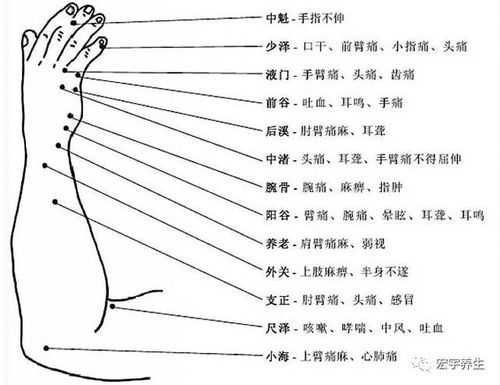 胳膊手部穴位图及作用功效 