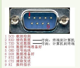 网线断了怎么弄好看(网线断了怎么弄好看视频)(网线断了该怎么办?)