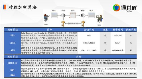 寻找 信息网络安全评测的公司（不需要第三方认证）