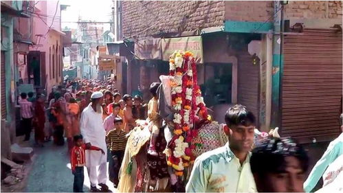 印度民间一大习俗,男人结婚接新娘子回家,仪式搞得很隆重 