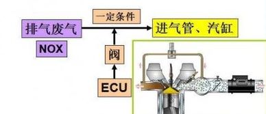 是不是电喷车都有废气再循环阀 有不带的吗 