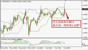 欧元区降息为何美指反而跌了？有老师来解答下么？