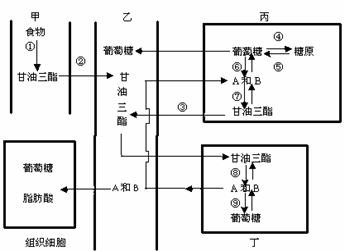 5.阅读下面文字.从中找出能概括主要特点的三个词语. 我在那幅前伫立良久.沃雪千里.地老天荒.只有一只孤影.一叶篷舟 想起明人胡应麟所说. 独钓寒江雪.五字极闹 