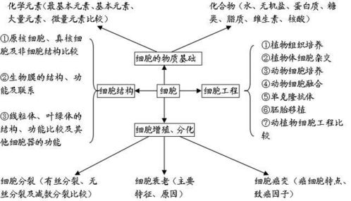 高中生物 知识结构图全汇总 一目了然