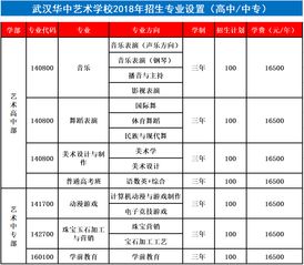 武汉市艺术学校分数线2020