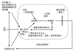 理论的意思