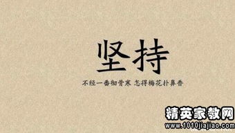 编剧名言  销冠激励话语？