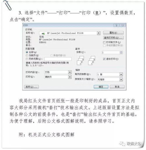 最新公文格式设置规范