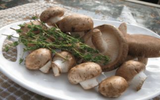 双孢蘑菇有哪些功效作用,双孢菇为什么叫双孢