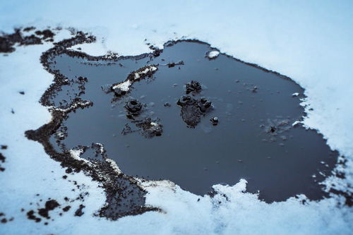 荒原雪(冰雪荒原的意思是什么)