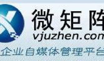 科技有限公司这个公司怎么样，有发展前景嘛