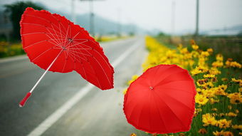关于雨伞爱情的诗句