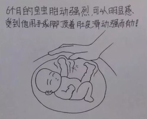 网友画出老婆从怀孕到生子的全过程,风格也太暖了