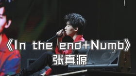 18楼最值得嫁的人 张真源In The End Numb 他踩那个音箱踩得一晃一晃的 好怕那个音箱掉下来哦