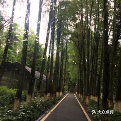 去植物园可以坐几路车到达？