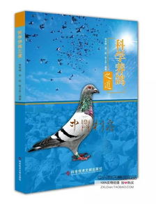 台湾顶尖高手谈信鸽饲养管理的独特技巧 ,你值得借鉴 