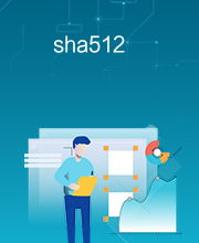 SHA512是不是安全的加密算法(sha512加密后有规律吗)