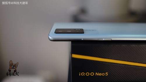 科技犬 iQOO值得买机型盘点 Neo5系列性价比出色 还有四款可选